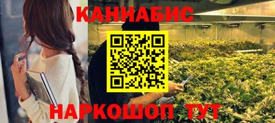 гидра Кандалакша