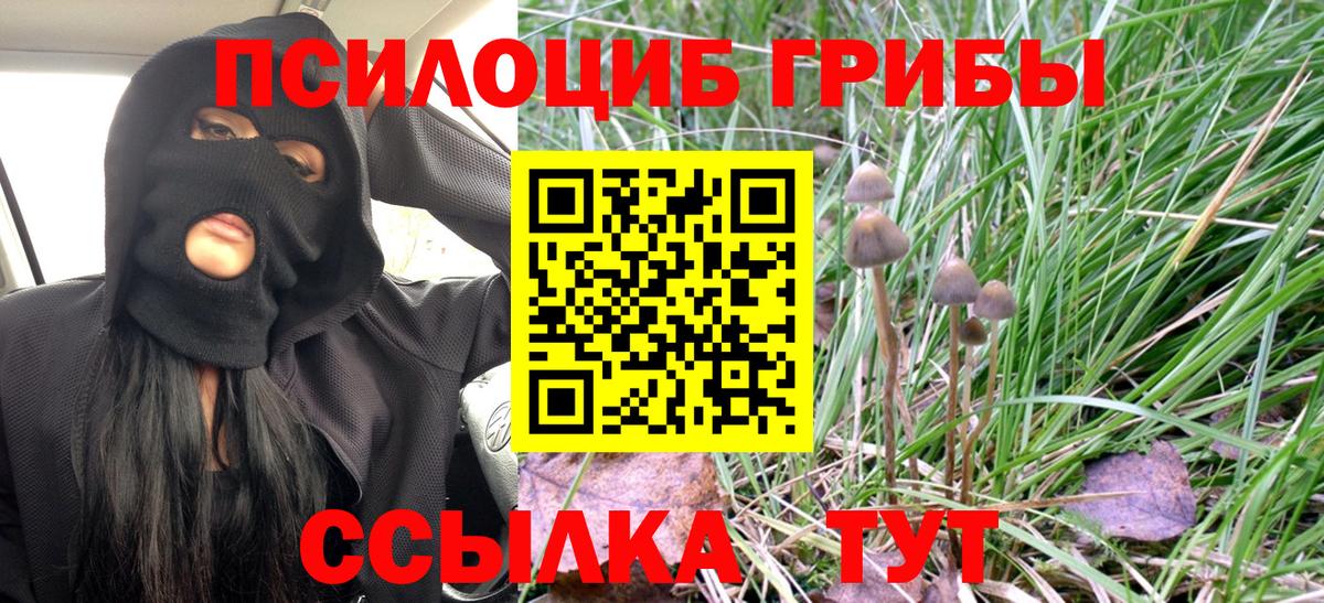 Псилоцибиновые грибы мицелий Магадан