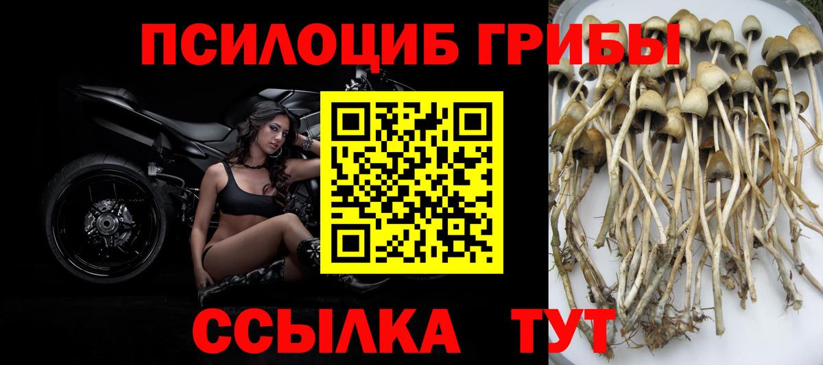 COCAIN  Лсд 25  МЕФ   ГАШИШ  Бошки Шишки  Магадан  Вход с VPN 
